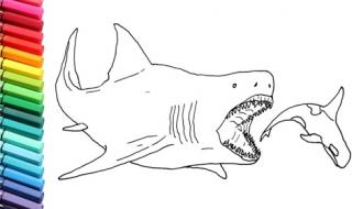 远古鲨鱼怎么画